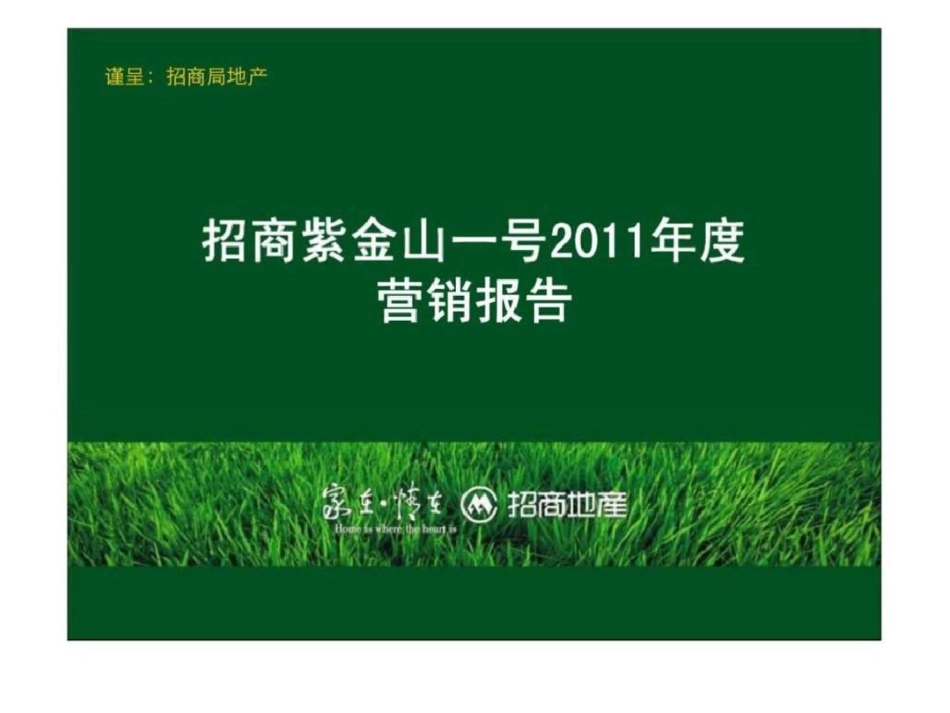 度南京招商地产紫金山一号营销报告文档资料_第1页