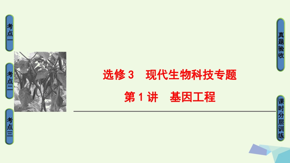 高三生物一轮复习 第讲 基因工程课件 新人教版选修_第1页