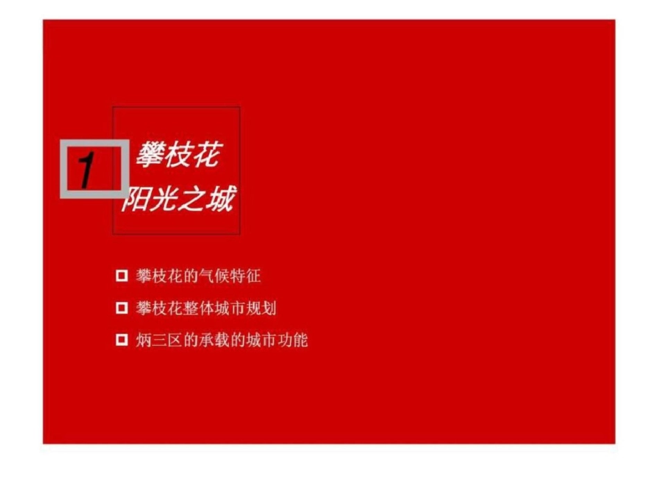 15日攀枝花金泰炳三区项目营销战略文档资料_第2页