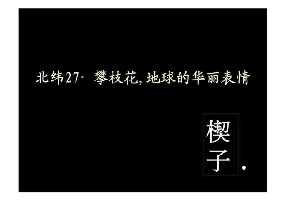 15日攀枝花金泰炳三区项目营销战略文档资料_第3页