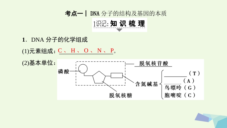 高三生物一轮复习 第单元 第讲 DNA分子的结构复制与基因的本质课件 新人教版必修_第2页