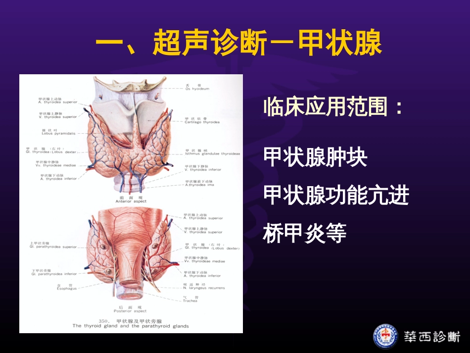 超声医学[共51页]_第3页