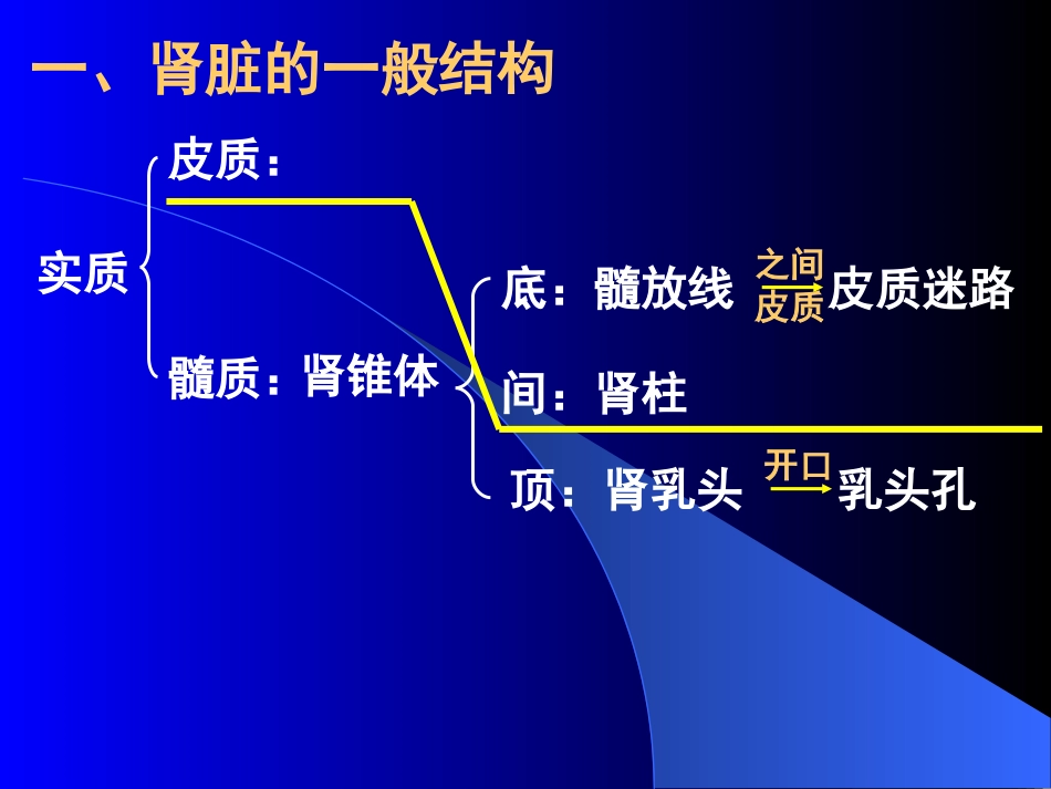 12泌尿系统[共42页]_第3页