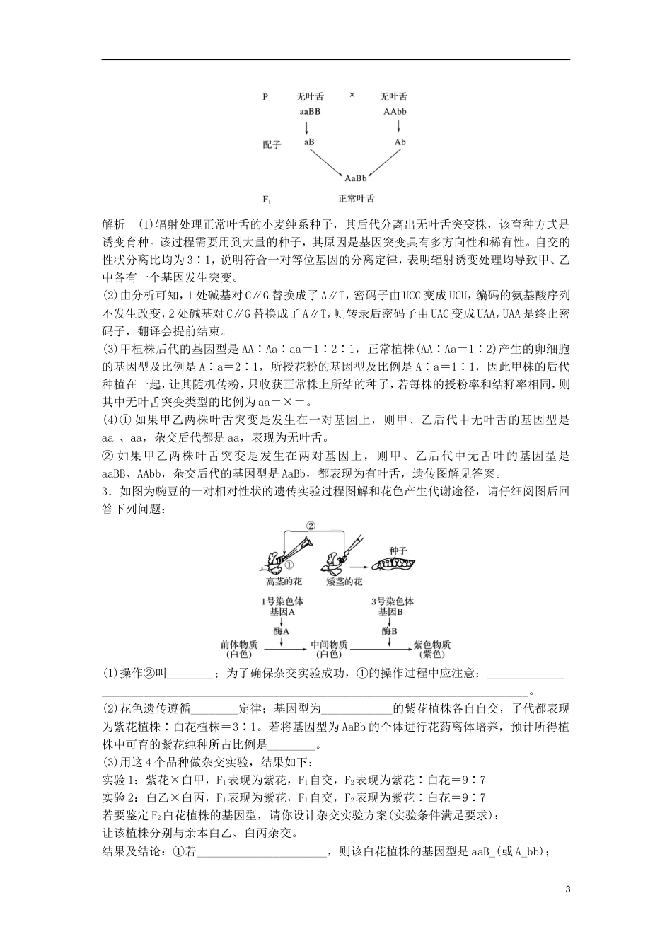 高三生物二轮专题复习题型增分练三必考非选择题题小专题遗传和变异的综合应用新人教_第3页