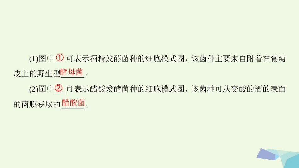 高三生物一轮复习 第讲 传统发酵技术的应用课件 新人教版选修_第3页