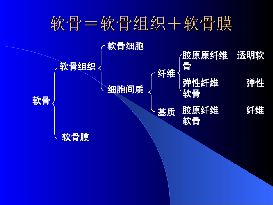03软  骨[共13页]_第2页