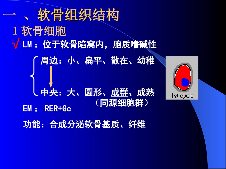 03软  骨[共13页]_第3页