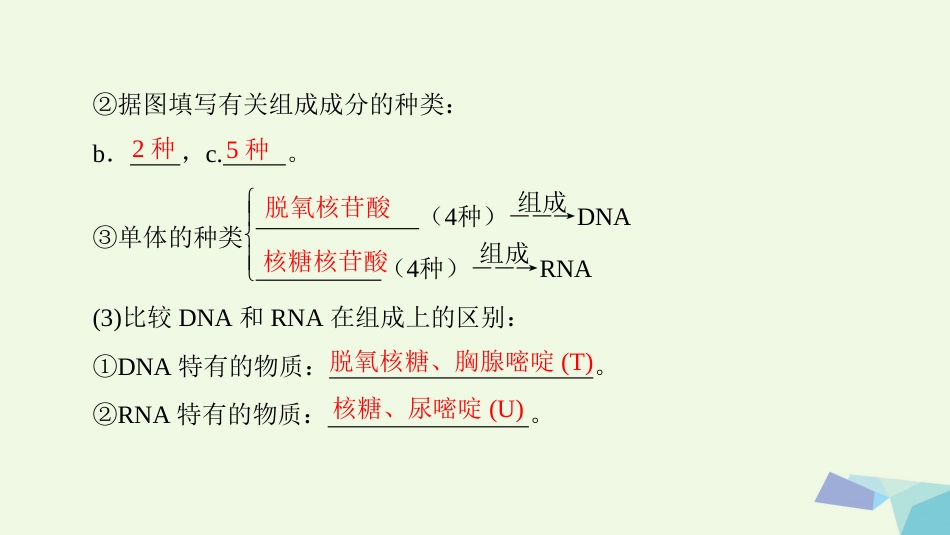 高三生物一轮复习 第单元 核酸糖类和脂质课件 新人教版必修_第3页