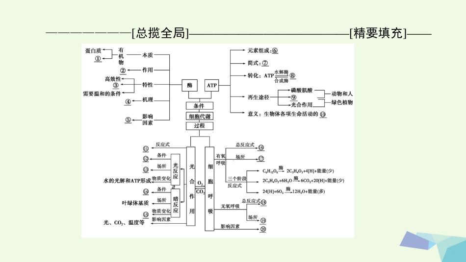 高三生物一轮复习 第3单元 单元高效整合课件 新人教版必修_第2页