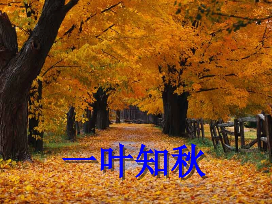 课标版二年级上册《秋天的图画》ppt课件[共26页]_第2页