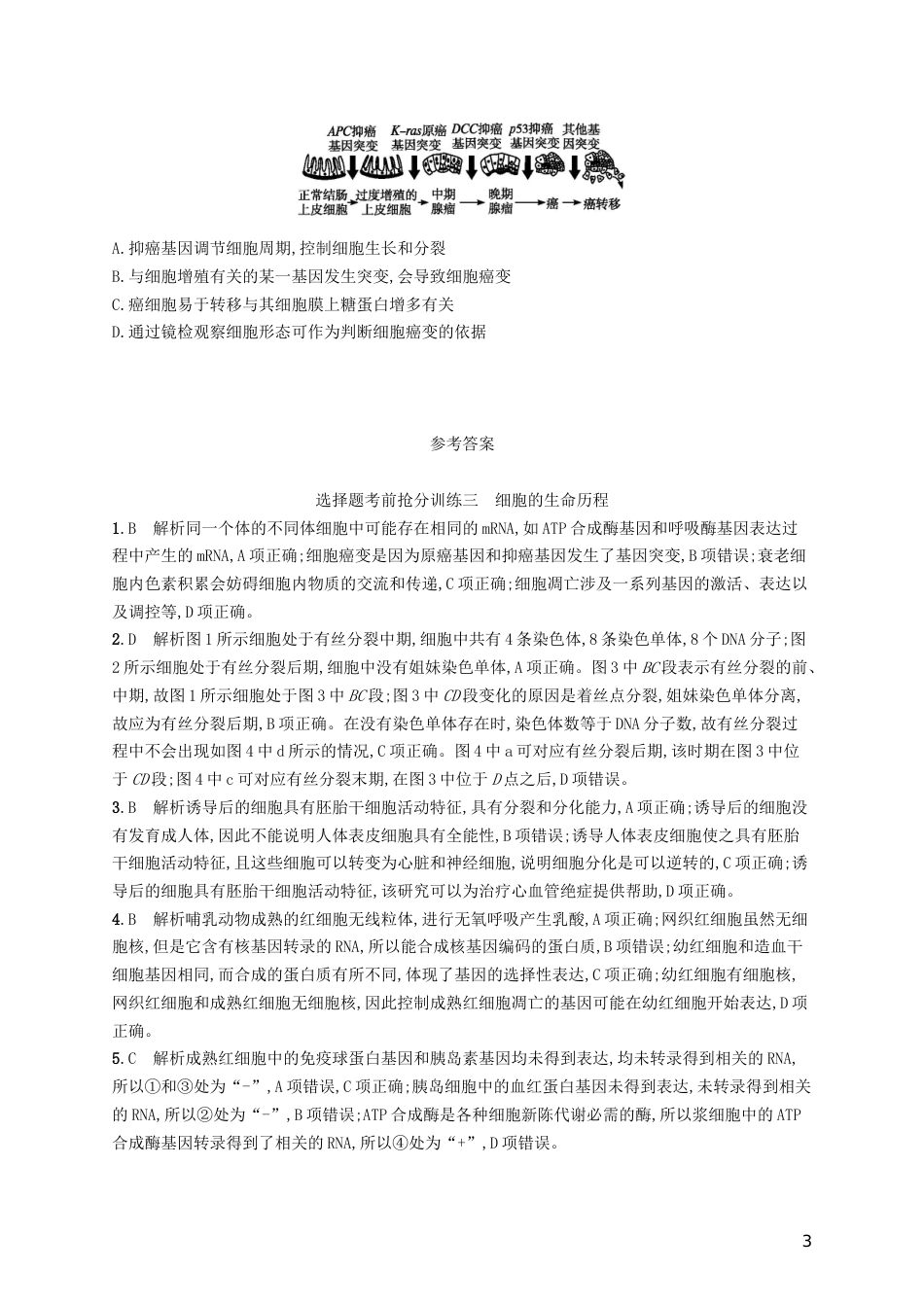高三生物二轮复习选择题考前抢分训练三细胞的生命历程专题训练新人教_第3页