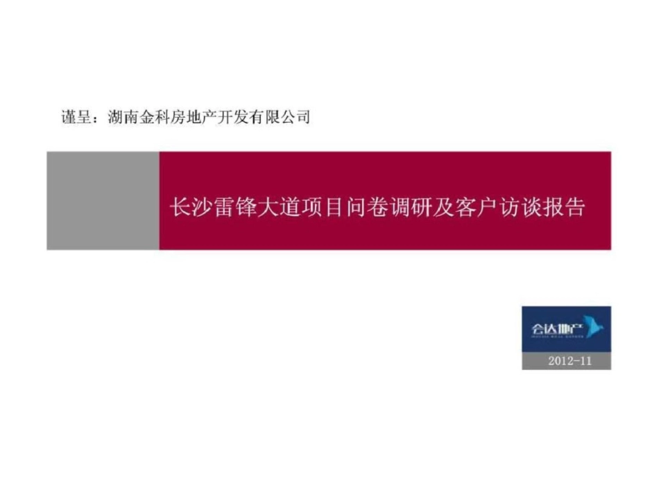 长沙雷锋大道项目问卷调研及客户访谈报告文档资料_第1页