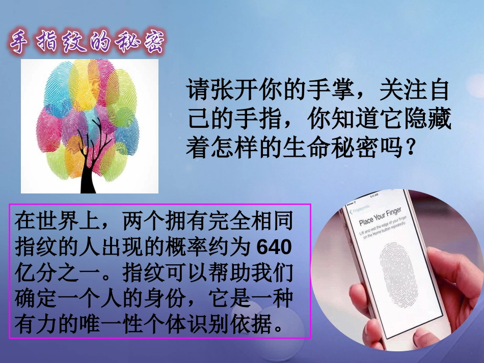 七年级道德与法治下册 第五单元 热爱生命 5.1 大自然的奇迹 第3框 生命属于我们 只有一次课件 粤教版_第2页