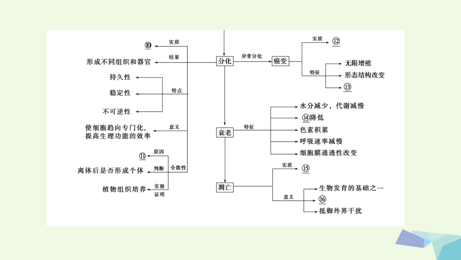 高三生物一轮复习 第4单元 单元高效整合课件 新人教版必修_第3页