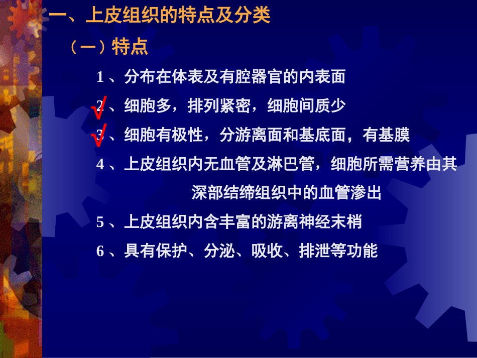 012上皮组织[共42页]_第2页