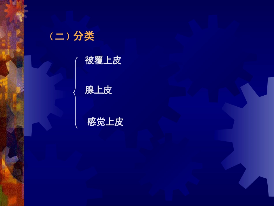 012上皮组织[共42页]_第3页