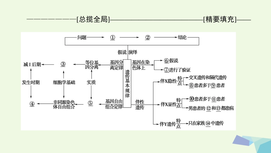 高三生物一轮复习 第5单元 单元高效整合课件 新人教版必修_第2页
