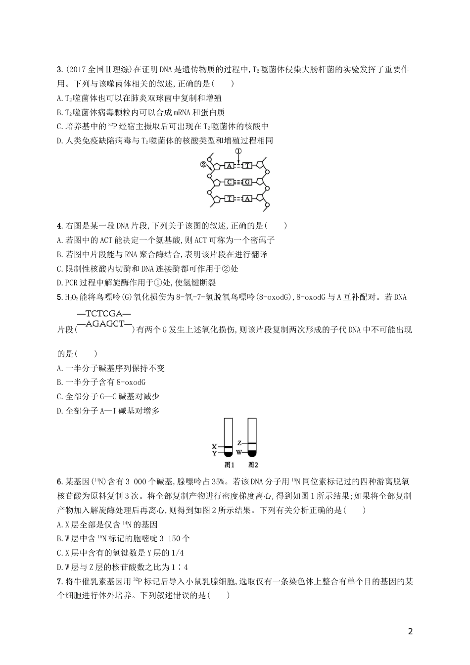 高三生物二轮复习专题能力训练七专题四遗传变异和进化专题训练新人教_第2页