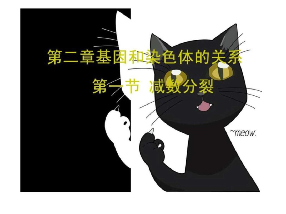 [原创]高中生物必修二减数分裂和受精作用课件文档资料_第1页