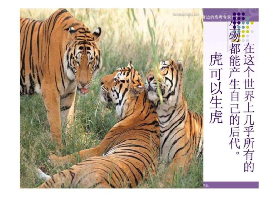 [原创]高中生物必修二减数分裂和受精作用课件文档资料_第2页