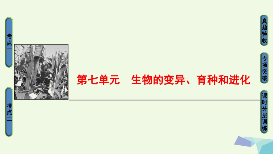 高三生物一轮复习 第7单元 第讲 基因突变和基因重组课件 新人教版必修_第1页