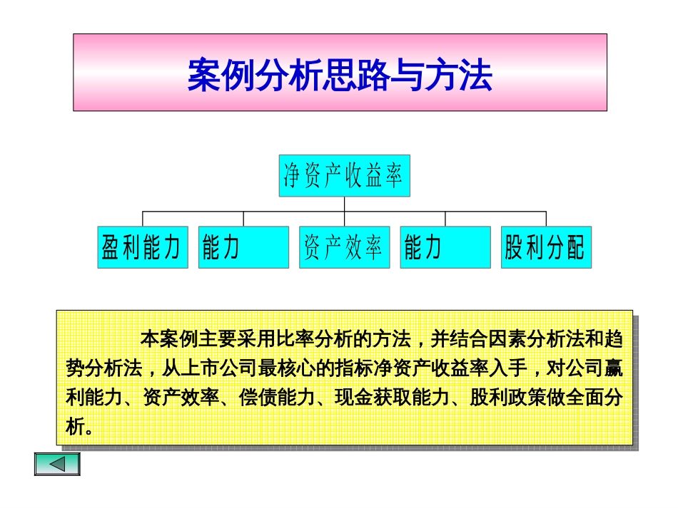 财务分析案例[共52页]_第3页