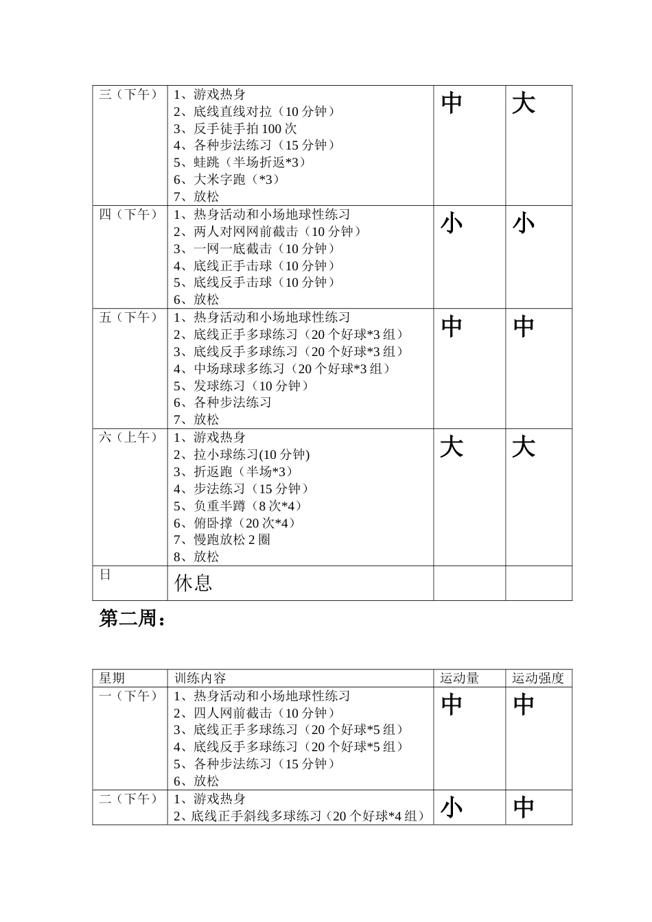 网球训练计划和体能训练计划[共6页]_第2页