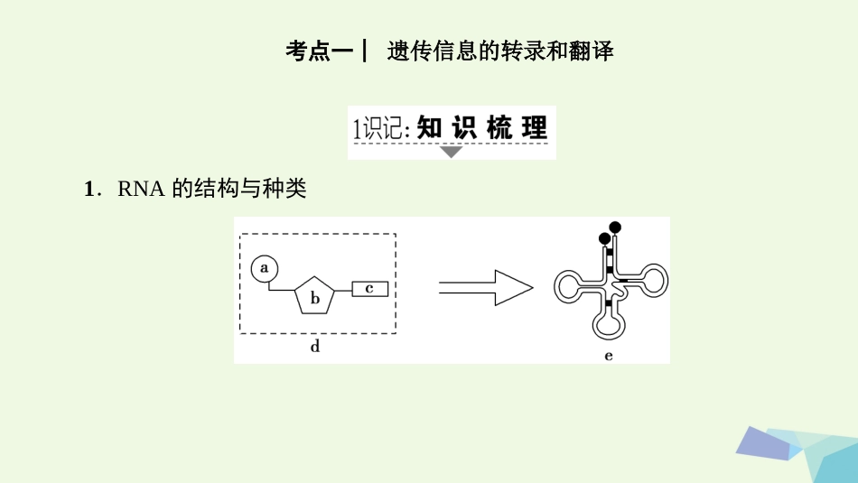 高三生物一轮复习 第单元 第3讲 基因的表达课件 新人教版必修_第2页