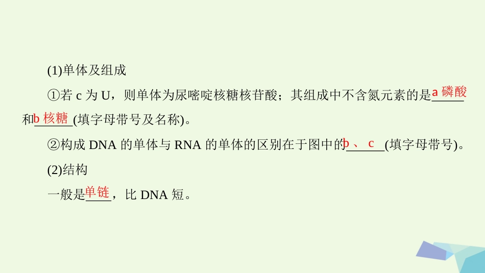 高三生物一轮复习 第单元 第3讲 基因的表达课件 新人教版必修_第3页