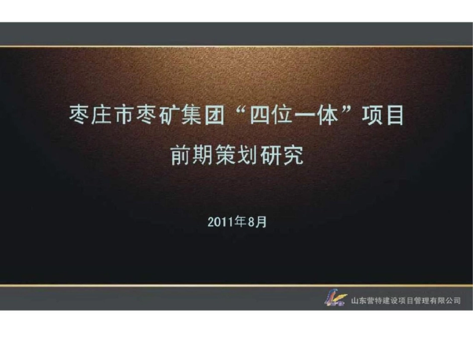 枣庄市枣矿集团“四位一体”项目前期策划研究文档资料_第1页