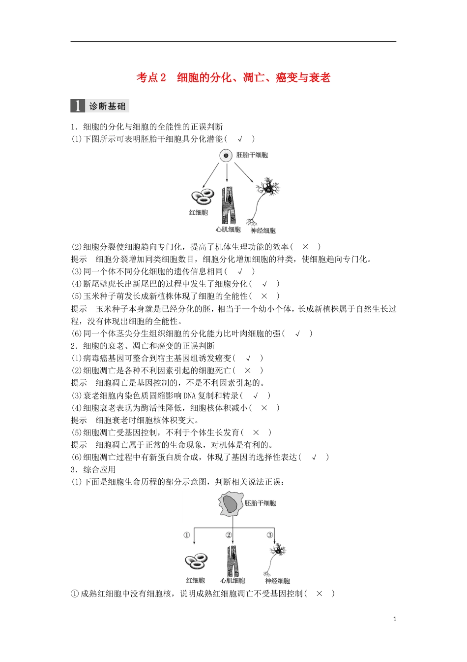 高三生物二轮专题复习专题四细胞的生命历程含减数分裂染色体学说考点细胞的分化凋亡癌变与衰老学案新人教_第1页