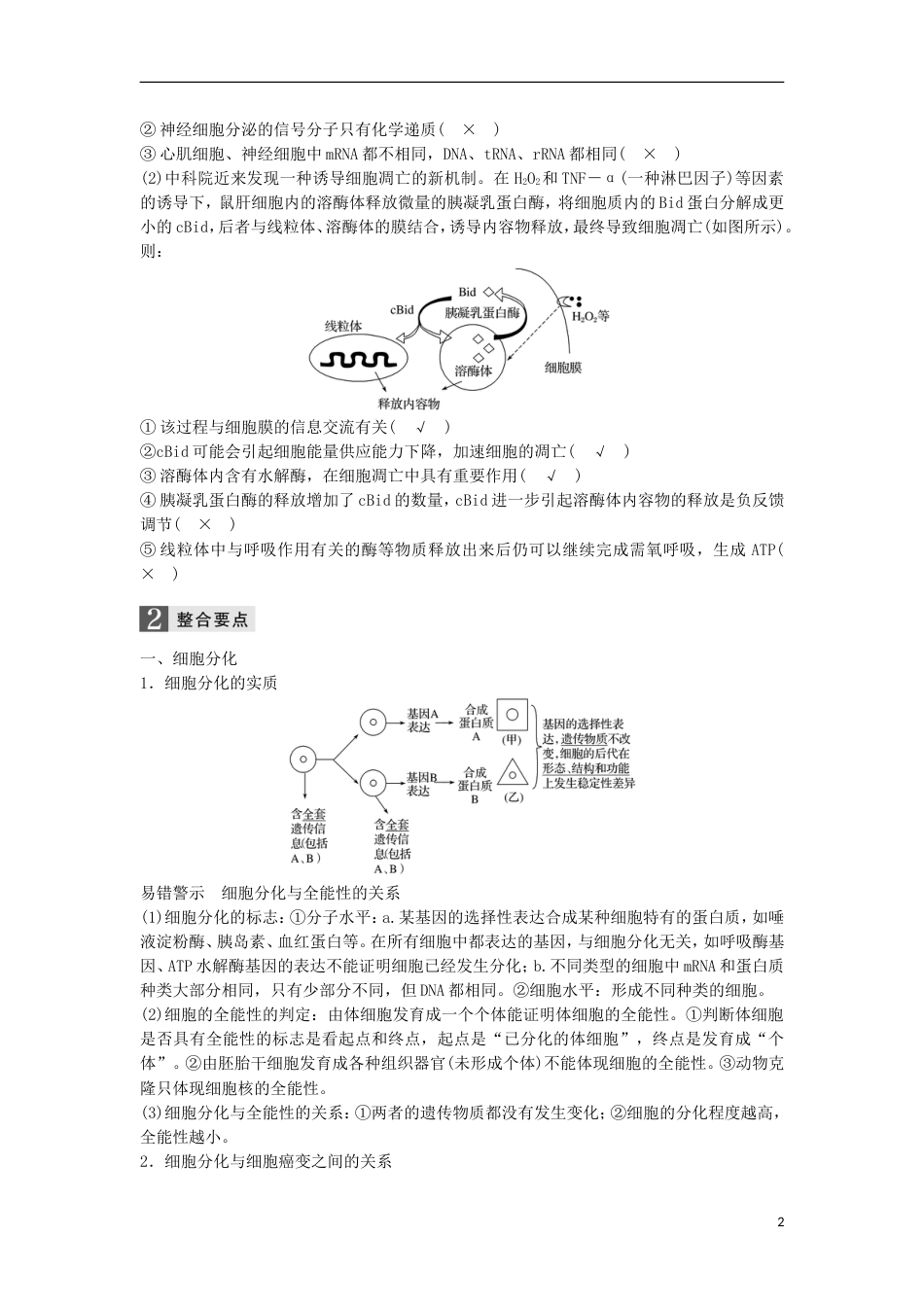 高三生物二轮专题复习专题四细胞的生命历程含减数分裂染色体学说考点细胞的分化凋亡癌变与衰老学案新人教_第2页