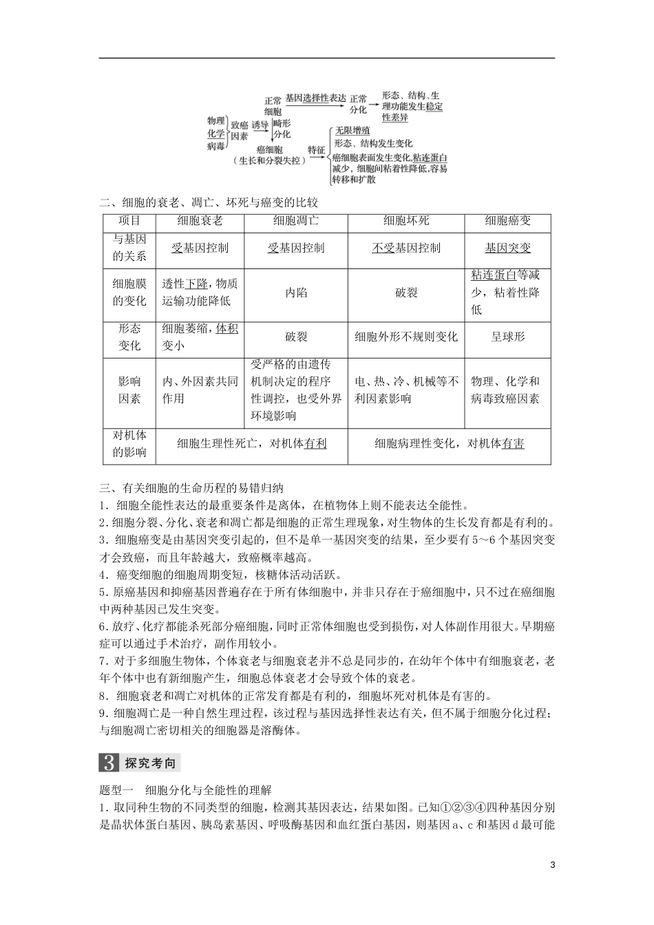 高三生物二轮专题复习专题四细胞的生命历程含减数分裂染色体学说考点细胞的分化凋亡癌变与衰老学案新人教_第3页