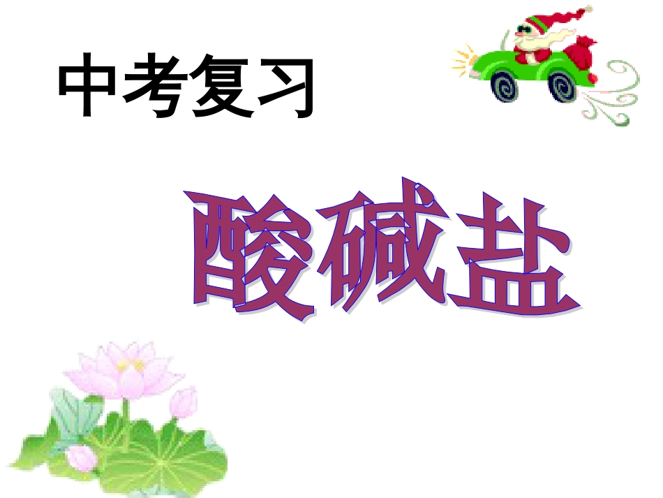 初三化学酸碱盐专题复习绝对精品[共98页]_第1页