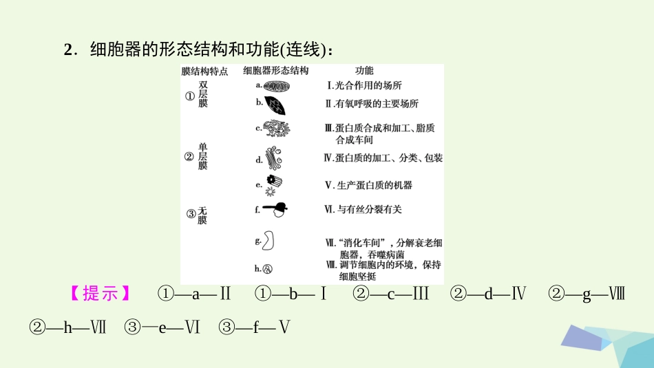 高三生物一轮复习 第单元 细胞器系统内的分工合作课件 新人教版必修_第3页