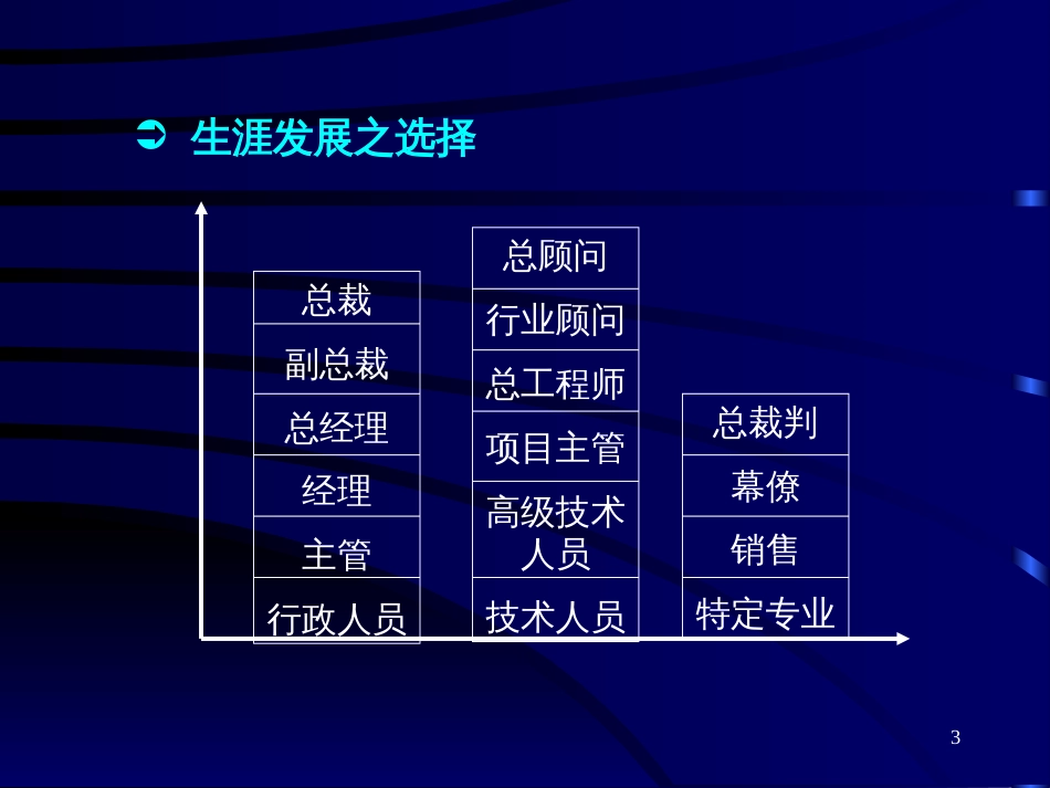 职业生涯[共15页]_第3页