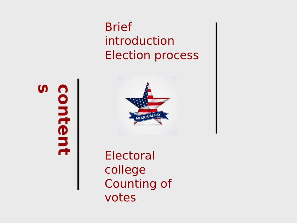 Presidentelection美国总统选举流程_第2页