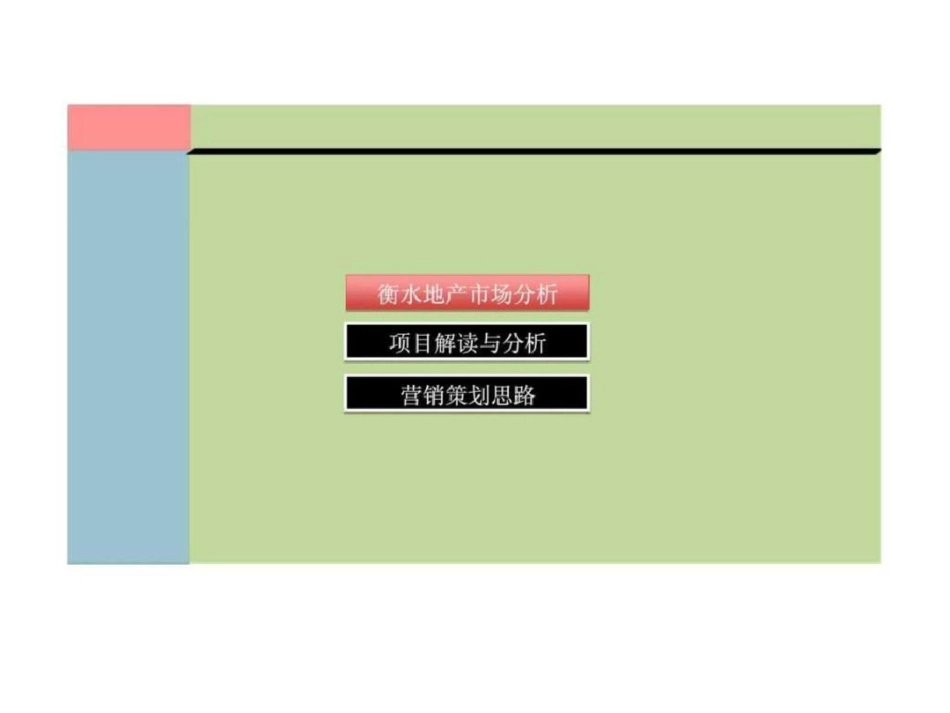 衡水项目评估汇报文档资料_第2页