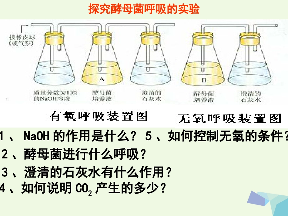 陕西省西安市2017届高考生物 细胞代谢专题 第五部分 呼吸作用复习课件[共52页]_第3页