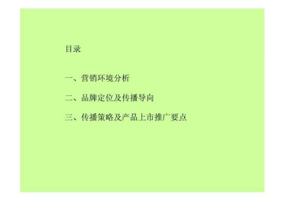 “婴儿健脾散”品牌传播策略文档资料_第2页