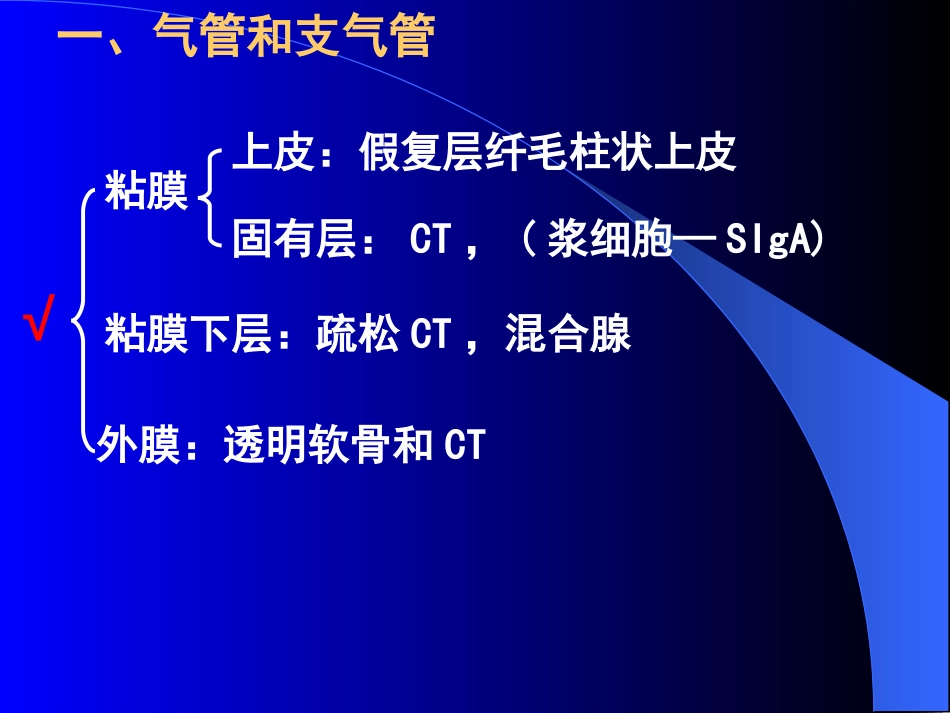 11呼吸系统[共34页]_第3页