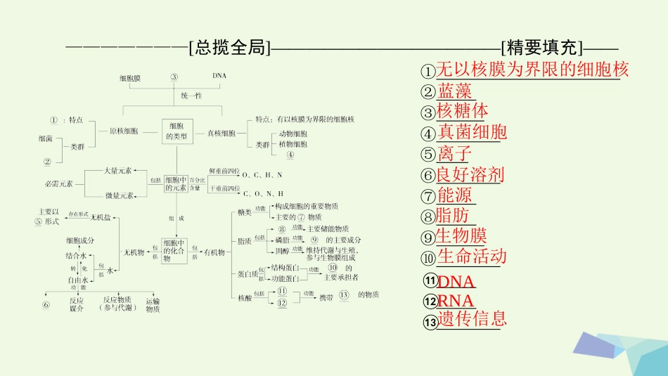 高三生物一轮复习 第单元 单元高效整合课件 新人教版必修_第2页