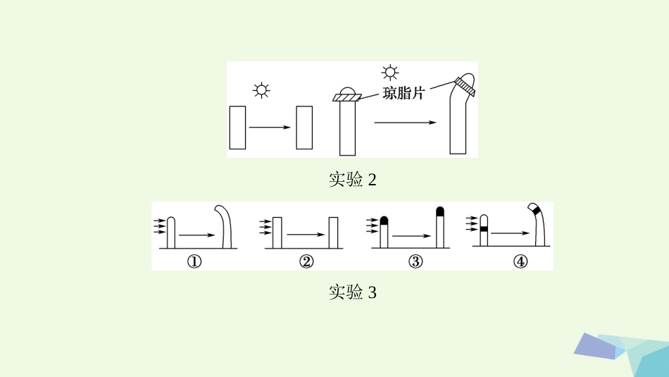 高三生物一轮复习 第8单元 第5讲 植物的激素调节课件 新人教版必修_第3页