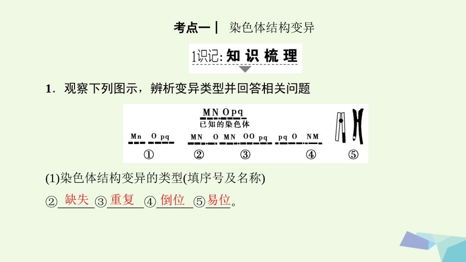 高三生物一轮复习 第7单元 第讲 染色体变异和人类遗传病课件 新人教版必修_第2页