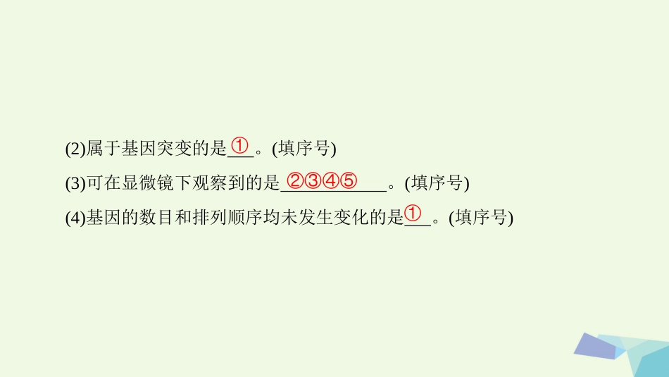 高三生物一轮复习 第7单元 第讲 染色体变异和人类遗传病课件 新人教版必修_第3页