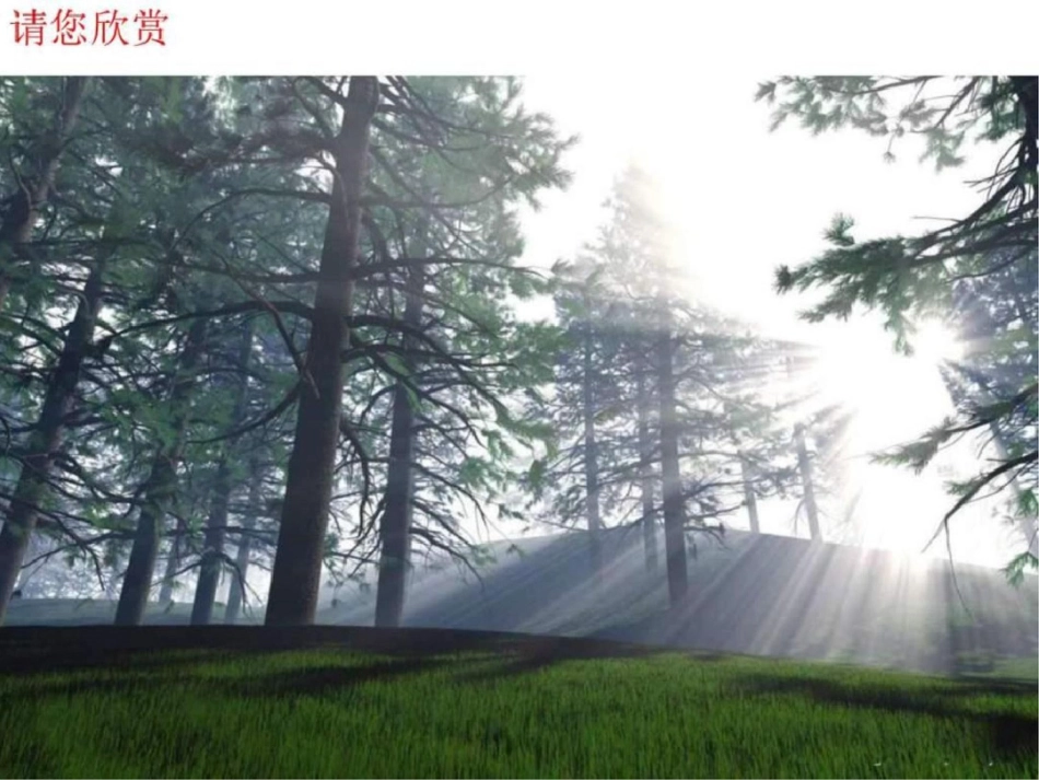 《光的传播》文档资料_第2页