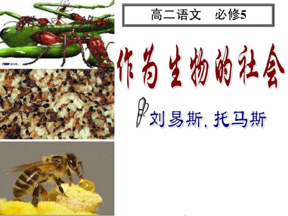 《作为生物的社会》优秀课件图文文档资料_第2页