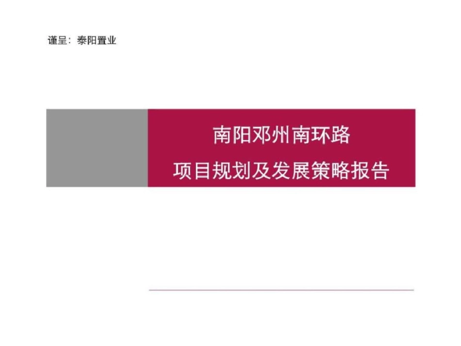南阳邓州南环路项目规划及发展策略报告文档资料_第1页