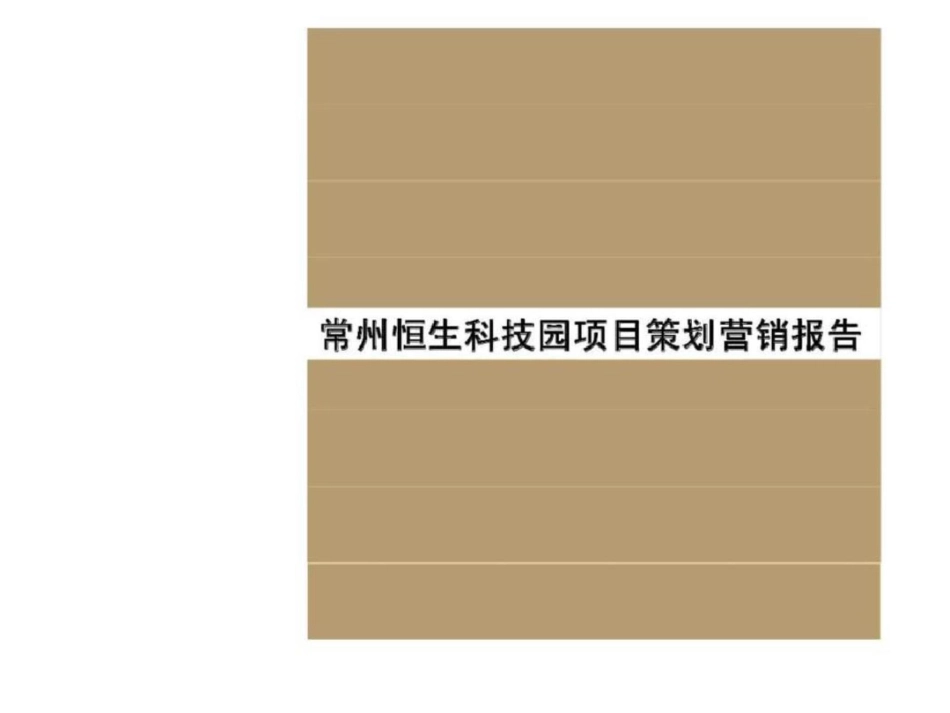 常州恒生科技园项目策划营销报告文档资料_第1页