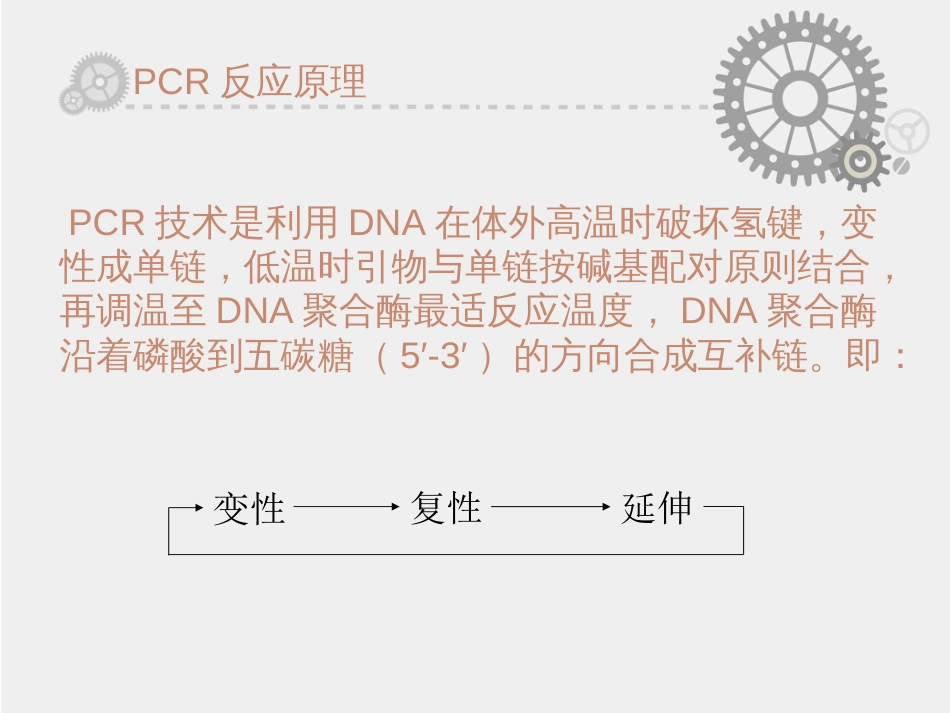 PCR技术及测序[共21页]_第2页